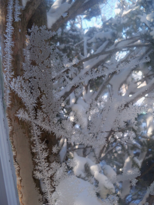 Frost on porch window (2)